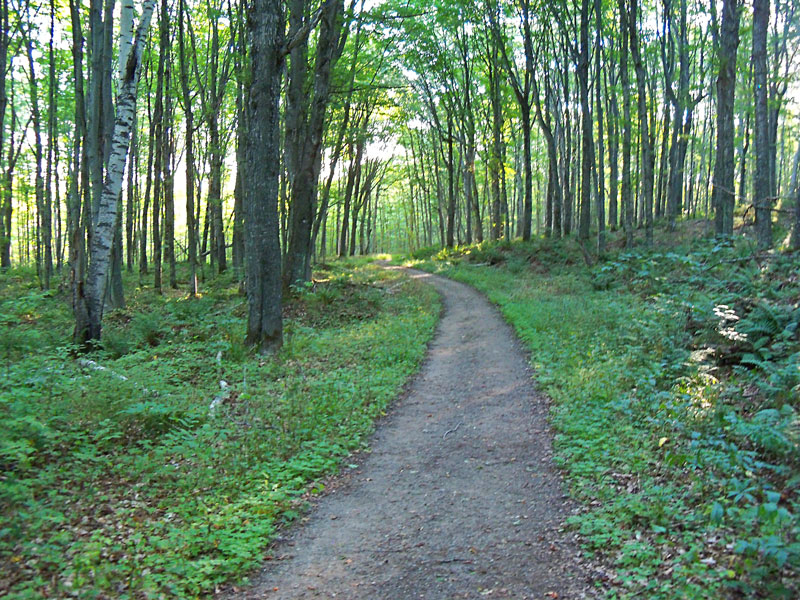 the trail to chapel falls